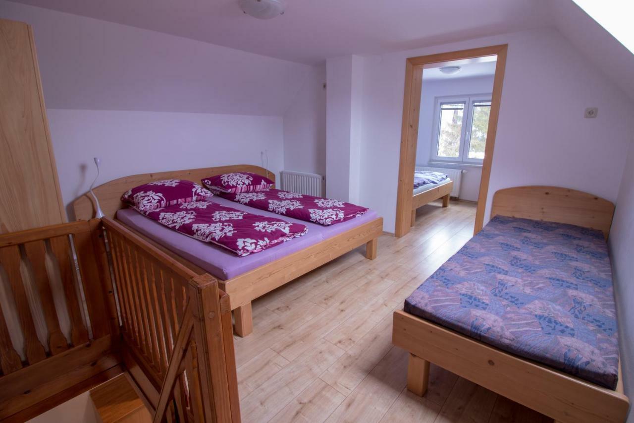 Hiska Henrik Zalokar Apartment Bohinj Exterior photo